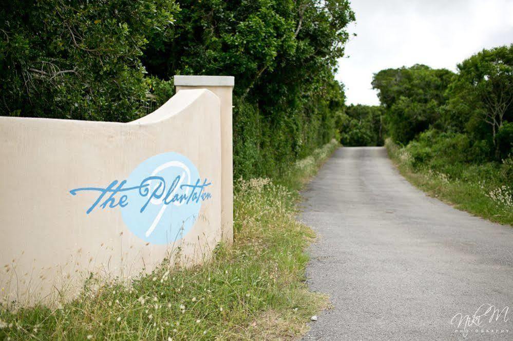 The Plantation Bed and Breakfast Port Elizabeth Eksteriør billede